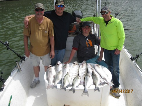 Nice Striped Bass